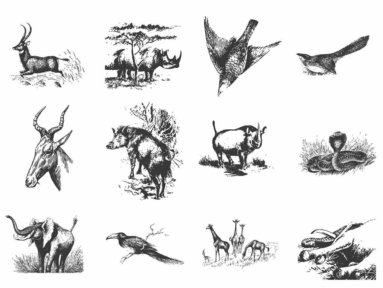 The Vintage Illustrations Bundle - 1391 Design Elements - Artixty