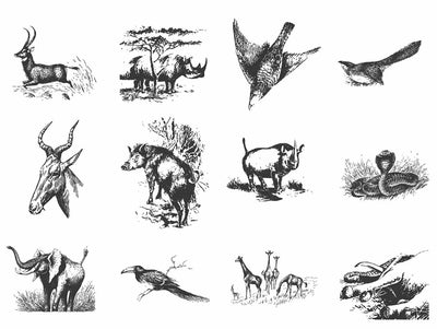 The Vintage Illustrations Bundle - 1391 Design Elements - Artixty