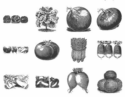The Vintage Illustrations Bundle - 1391 Design Elements - Artixty