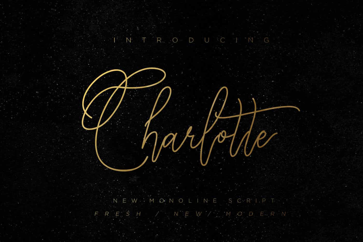 The Wonderful Font Bundle - 15 Script Fonts - Artixty