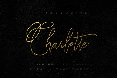 The Wonderful Font Bundle - 15 Script Fonts - Artixty