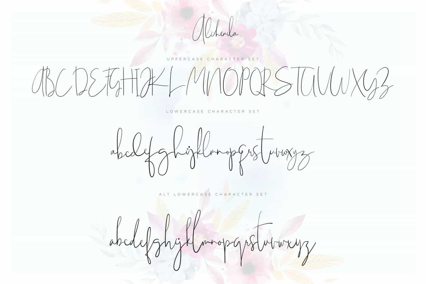 The Wonderful Font Bundle - 15 Script Fonts - Artixty