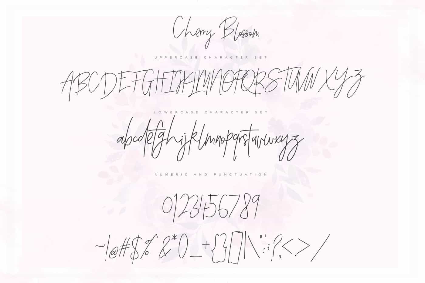 The Wonderful Font Bundle - 15 Script Fonts - Artixty
