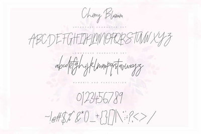 The Wonderful Font Bundle - 15 Script Fonts - Artixty
