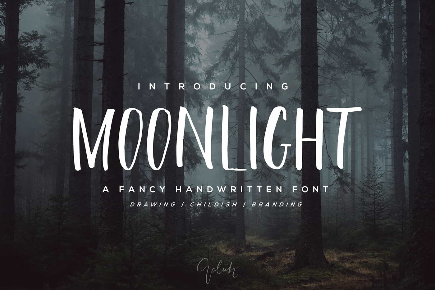 The Wonderful Font Bundle - 15 Script Fonts - Artixty