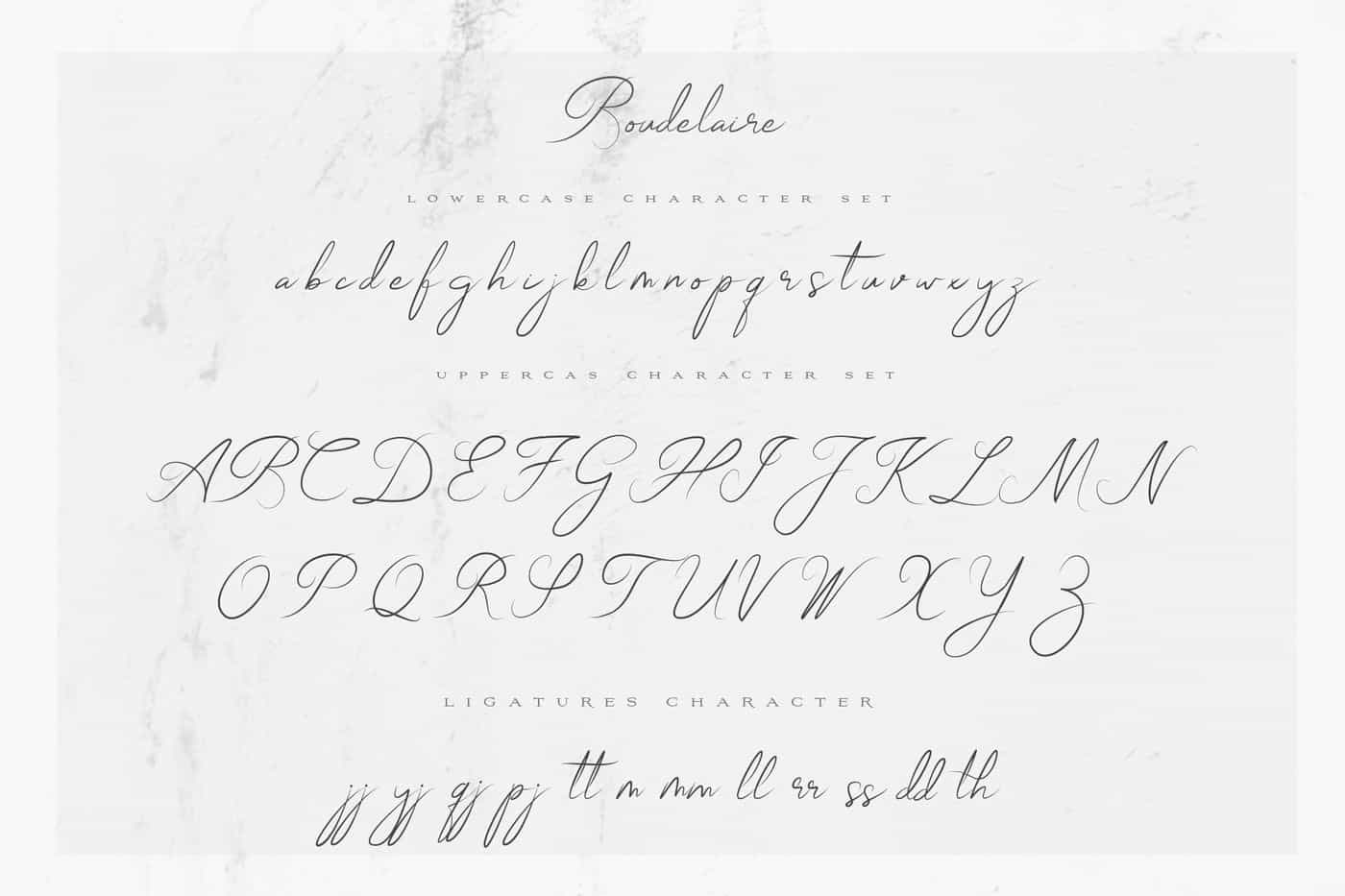 The Wonderful Font Bundle - 15 Script Fonts - Artixty
