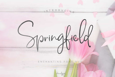 The Wonderful Font Bundle - 15 Script Fonts - Artixty