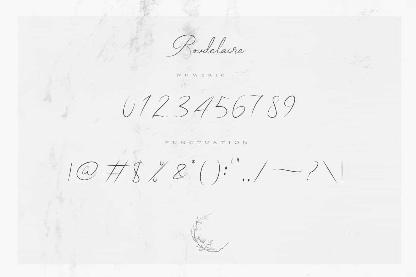 The Wonderful Font Bundle - 15 Script Fonts - Artixty