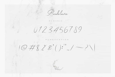 The Wonderful Font Bundle - 15 Script Fonts - Artixty