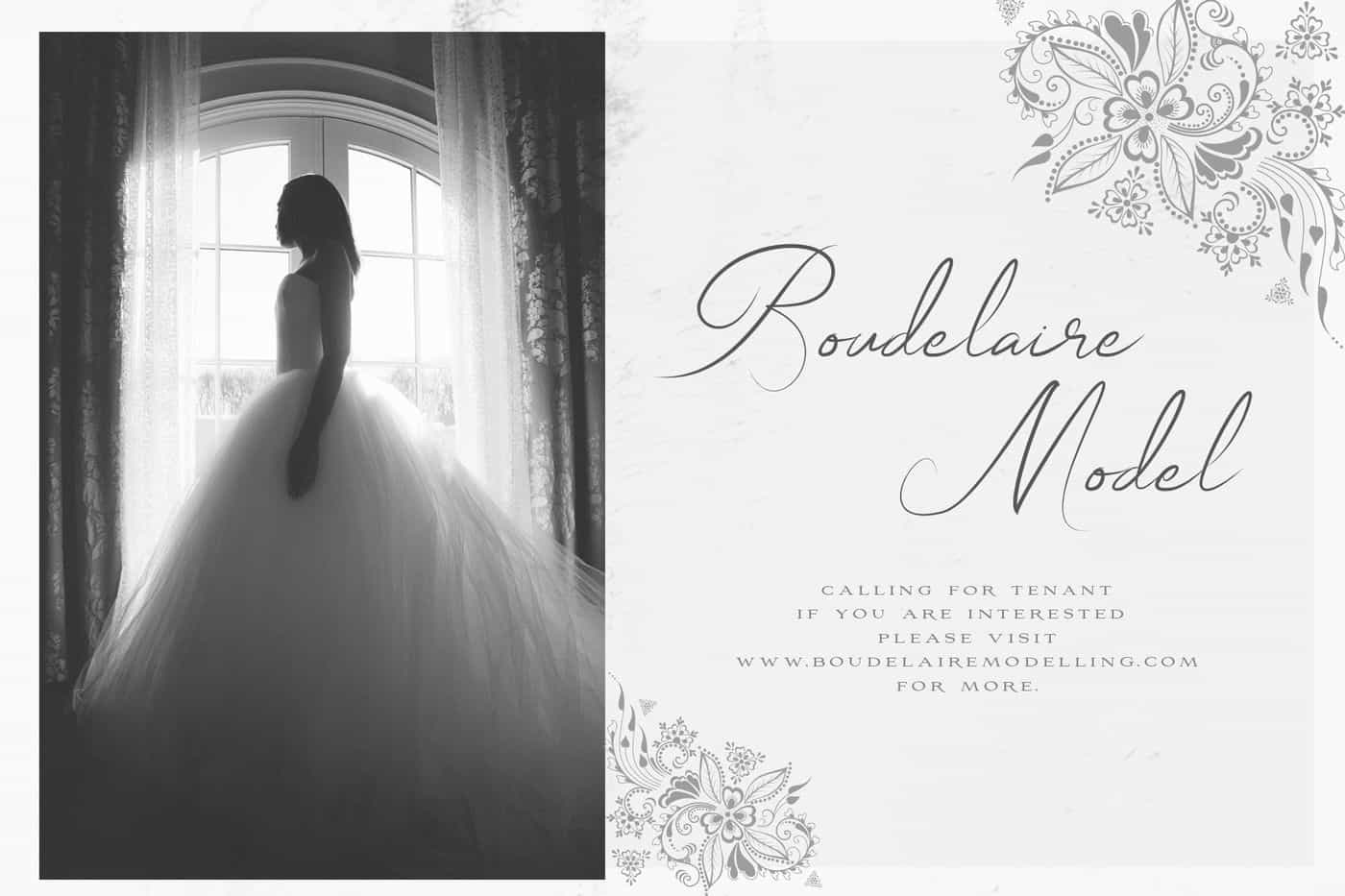 The Wonderful Font Bundle - 15 Script Fonts - Artixty