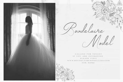 The Wonderful Font Bundle - 15 Script Fonts - Artixty