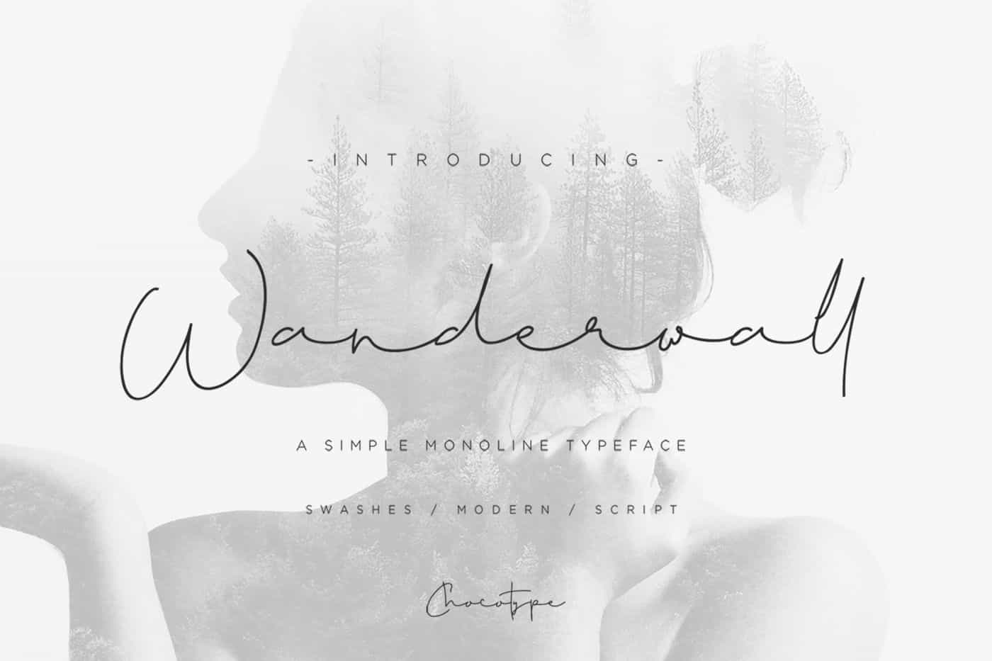 The Wonderful Font Bundle - 15 Script Fonts - Artixty