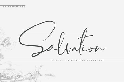The Wonderful Font Bundle - 15 Script Fonts - Artixty