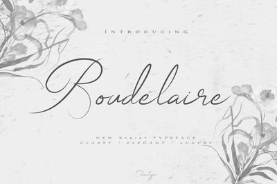 The Wonderful Font Bundle - 15 Script Fonts - Artixty