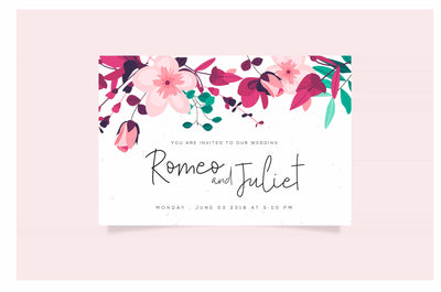 The Wonderful Font Bundle - 15 Script Fonts - Artixty