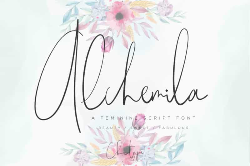 The Wonderful Font Bundle - 15 Script Fonts - Artixty