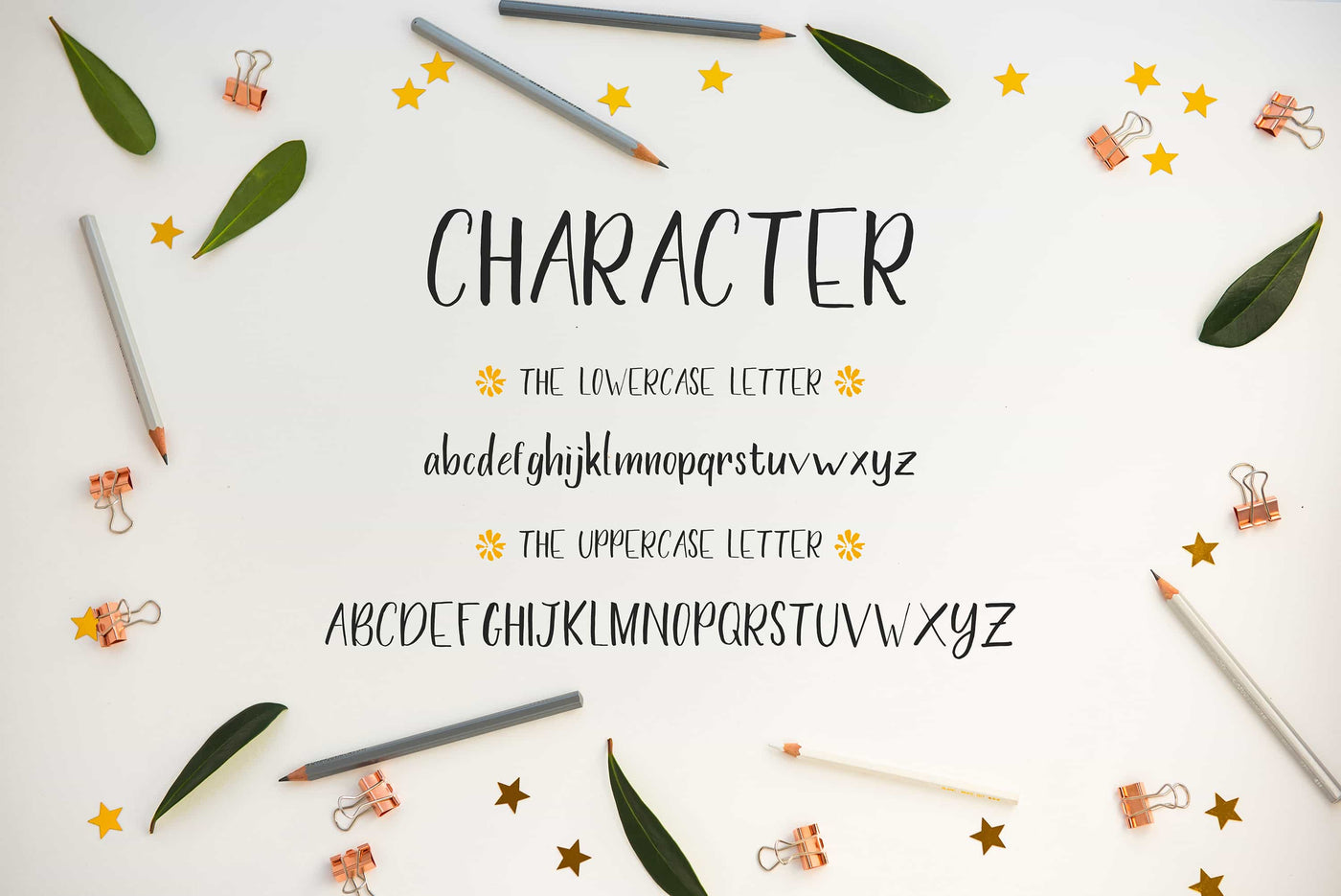 The Wonderful Font Bundle - 15 Script Fonts - Artixty