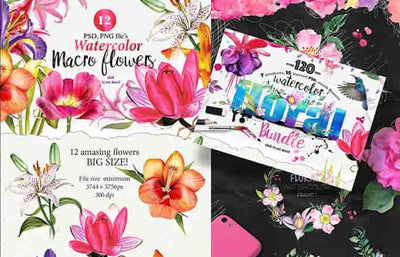 17000+ Exquisite Watercolor Design Library - Artixty