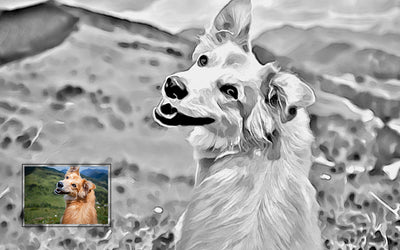31 Trendy Sketch Photoshop Actions Bundle