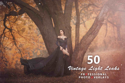 1000+ Realistic Photo Overlays Bundle - Artixty