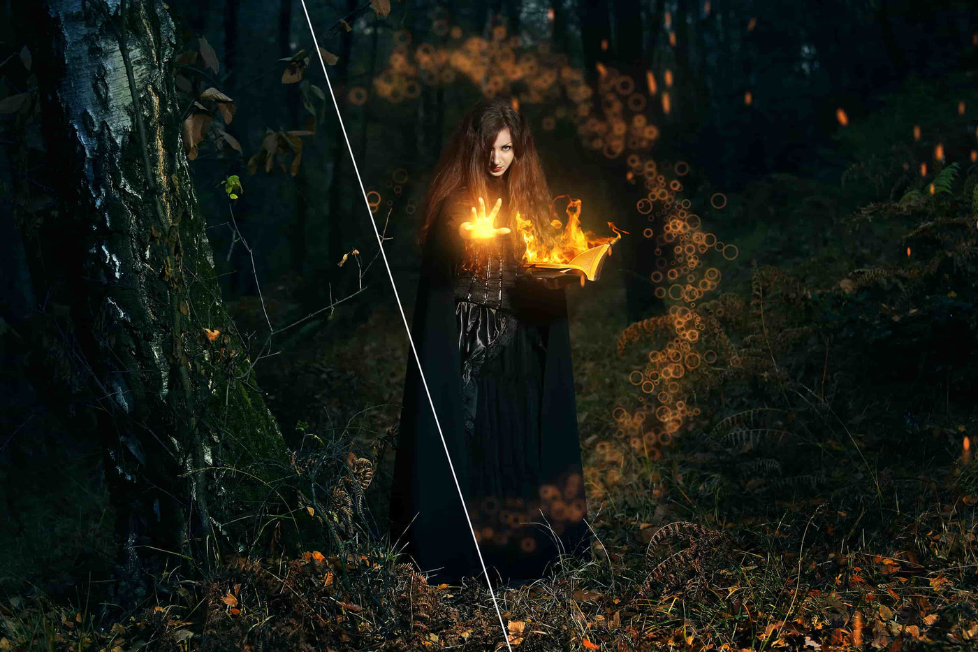 1900+ Halloween Photo Overlays Bundle - Artixty