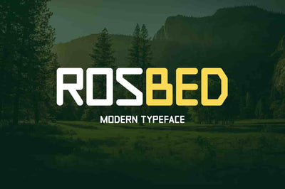 20 Modern And Unique Font Bundle - Artixty
