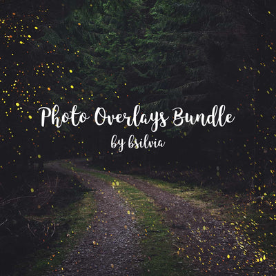 750+ Sparkly Photo Overlays Bundle - Artixty
