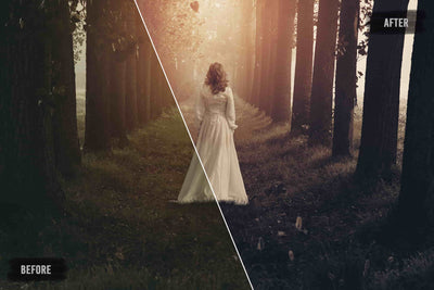 1000+ Glamorous Wedding Lightroom Presets Bundle - Artixty