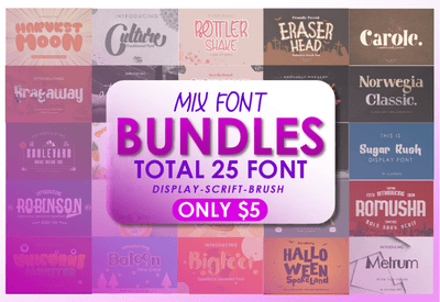 The Mix Font Bundle - 25 Creative Fonts - Artixty