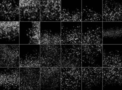 1500+ Supreme Visual Effects Overlays Bundle - Artixty