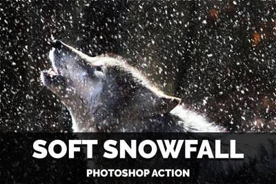 25-In-1 Stellar Photoshop Actions Bundle - Artixty