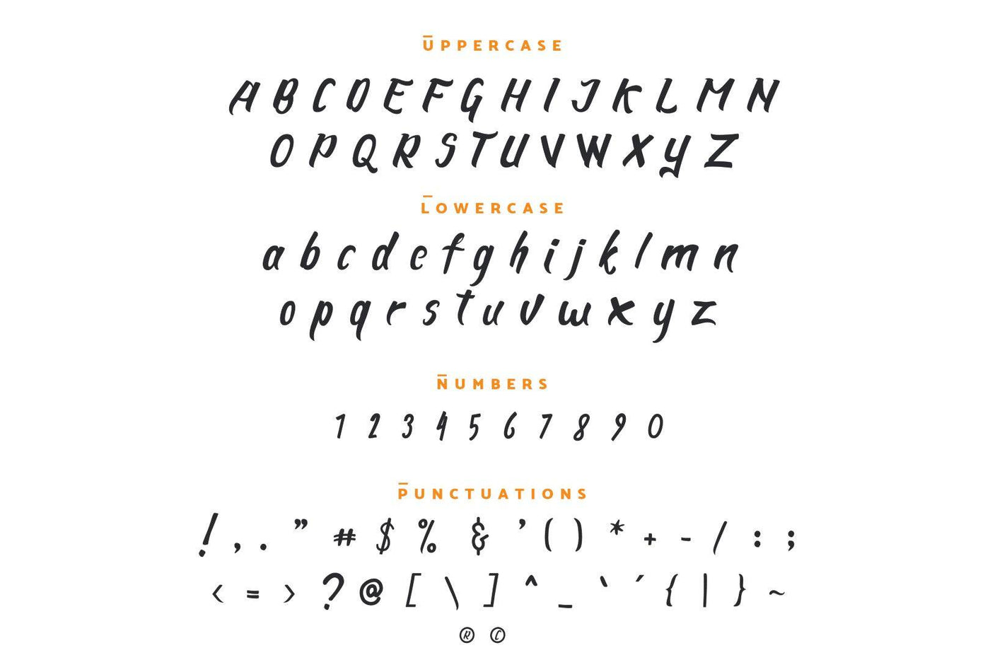 The Royale Stylish Font Bundle - 15 Script Fonts - Artixty