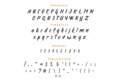 The Royale Stylish Font Bundle - 15 Script Fonts - Artixty