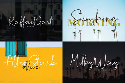 The Royale Stylish Font Bundle - 15 Script Fonts - Artixty