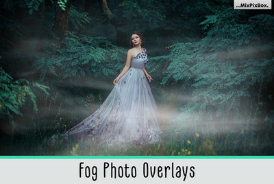 The Enormous Bundle Of 1600+ Photo Overlays - Artixty