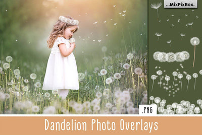 The Enormous Bundle Of 1600+ Photo Overlays - Artixty