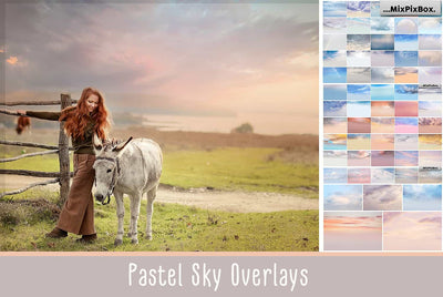The Enormous Bundle Of 1600+ Photo Overlays - Artixty