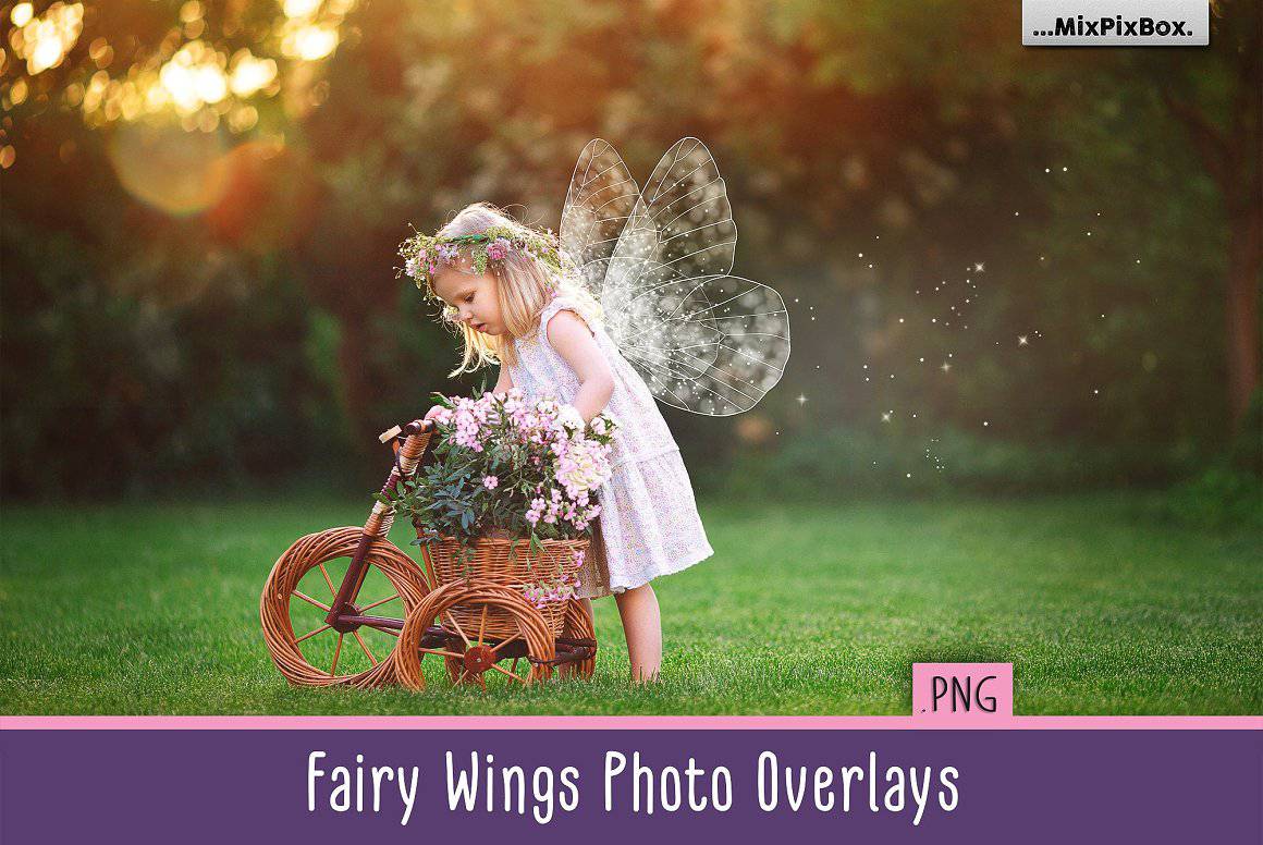 The Enormous Bundle Of 1600+ Photo Overlays - Artixty
