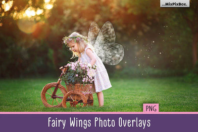 The Enormous Bundle Of 1600+ Photo Overlays - Artixty