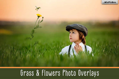 The Enormous Bundle Of 1600+ Photo Overlays - Artixty