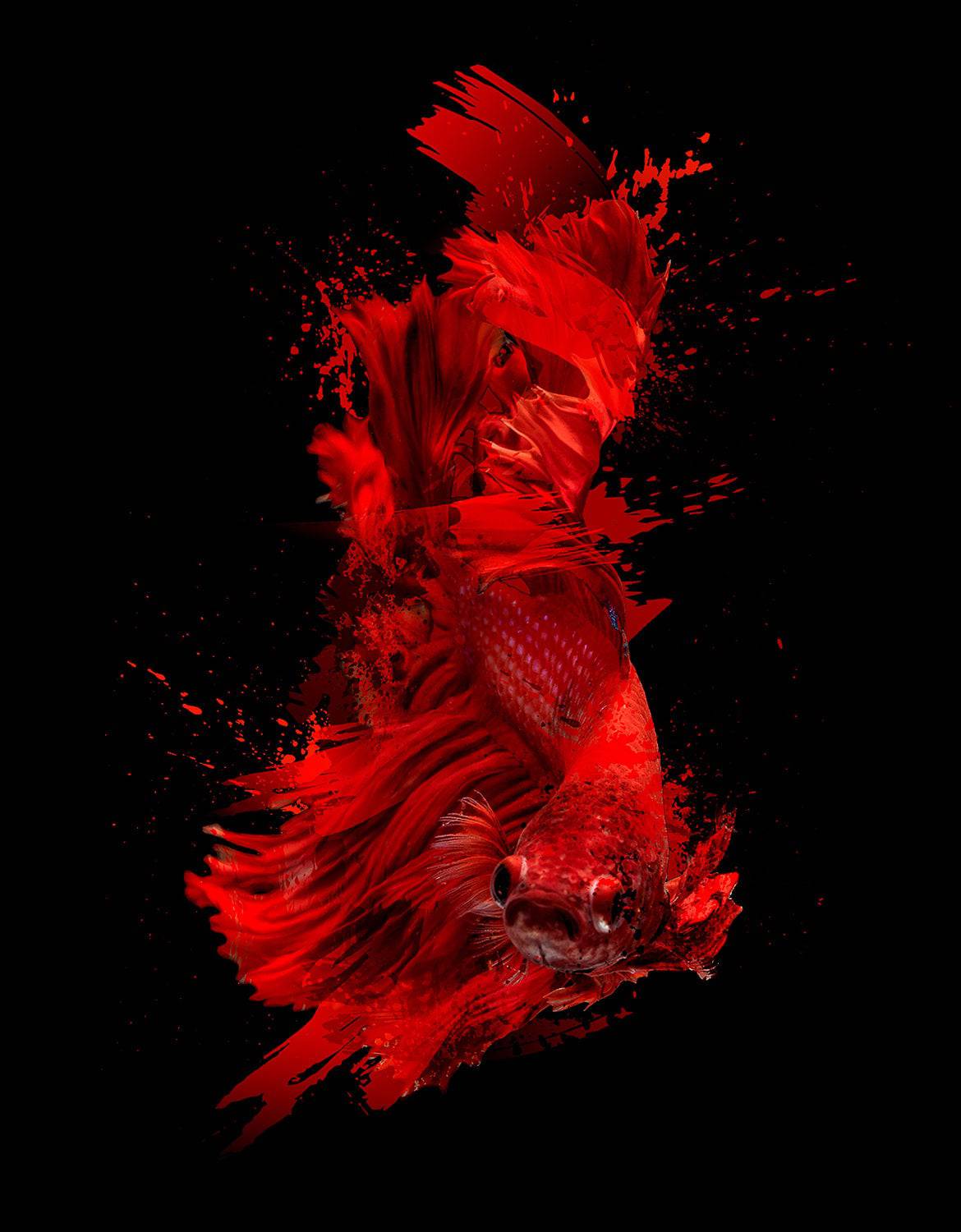 140 Fabulous Splatter Brush Strokes Collection - Artixty