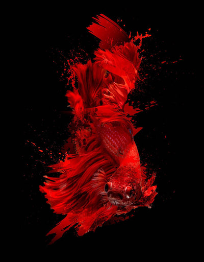 140 Fabulous Splatter Brush Strokes Collection - Artixty