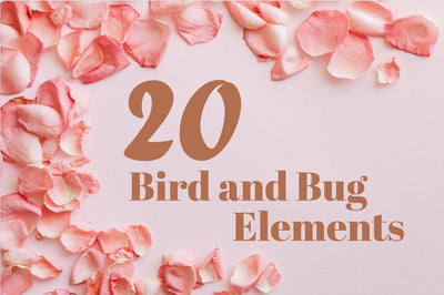 Magical Mysteries Bundle -  800+ Design Elements - Artixty