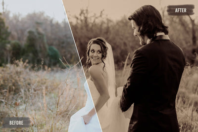 The Majestic Wedding LUTs Collection  - 1000+ Presets - Artixty