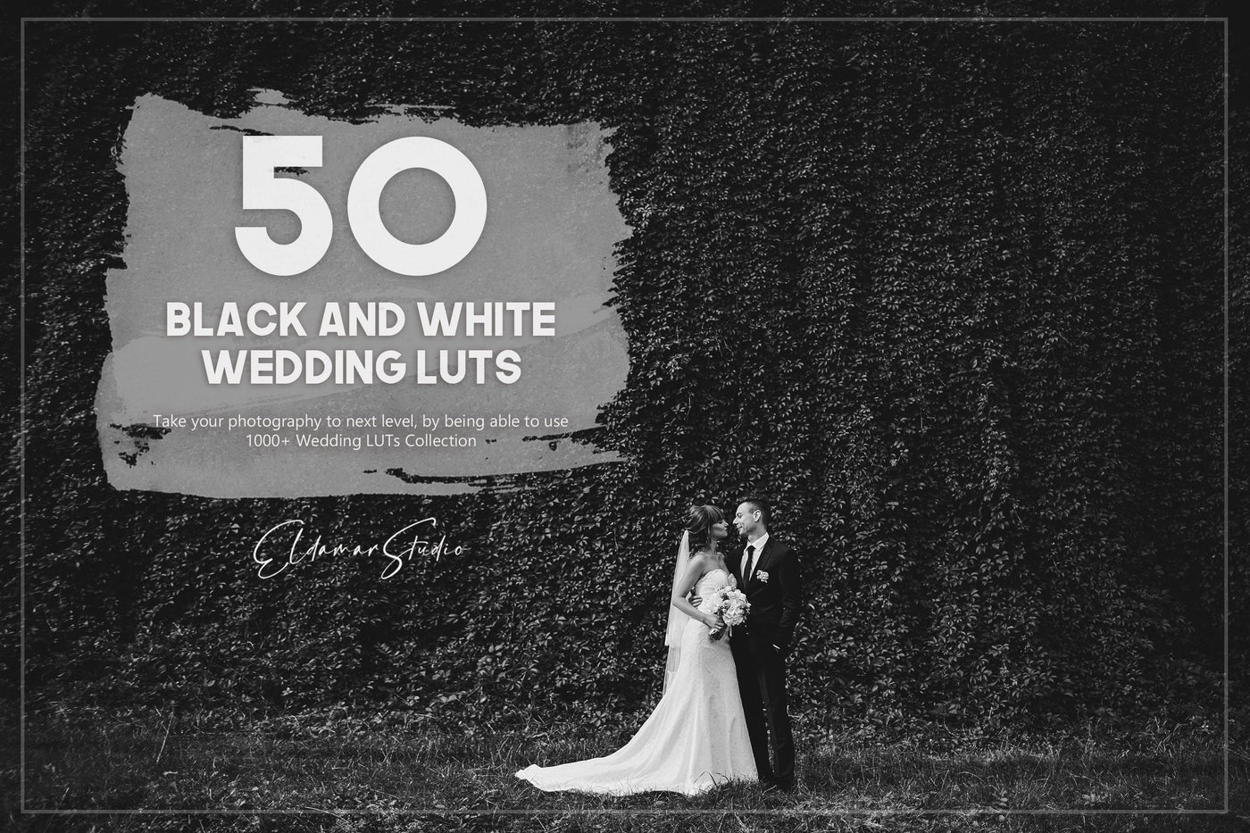 The Majestic Wedding LUTs Collection  - 1000+ Presets - Artixty