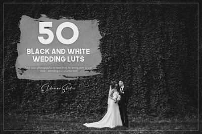 The Majestic Wedding LUTs Collection  - 1000+ Presets - Artixty