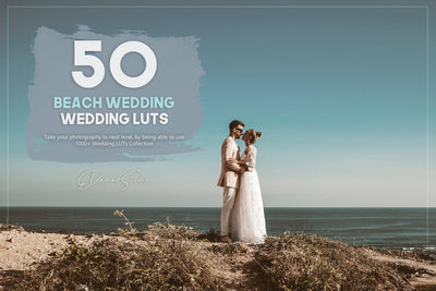 The Majestic Wedding LUTs Collection  - 1000+ Presets - Artixty