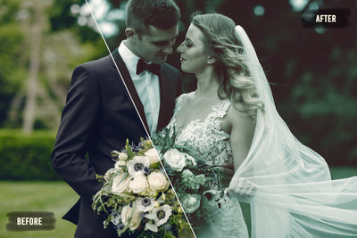 The Majestic Wedding LUTs Collection  - 1000+ Presets - Artixty