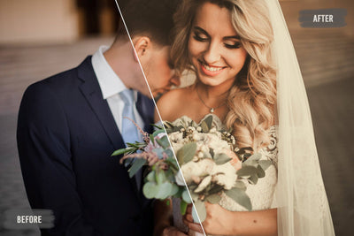 The Majestic Wedding LUTs Collection  - 1000+ Presets - Artixty