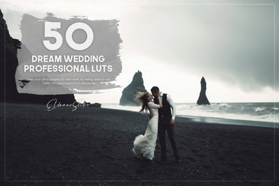 The Majestic Wedding LUTs Collection  - 1000+ Presets - Artixty